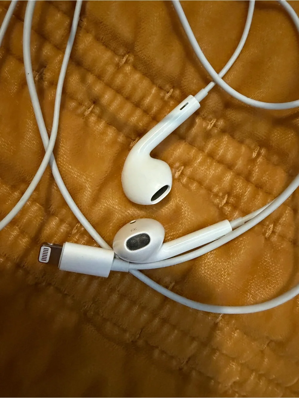 Apple White Wired Earphones with Lightning Connector